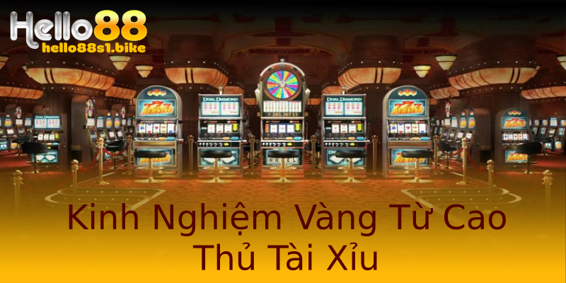 Kinh Nghiệm Vàng Từ Cao Thủ Tài Xỉu